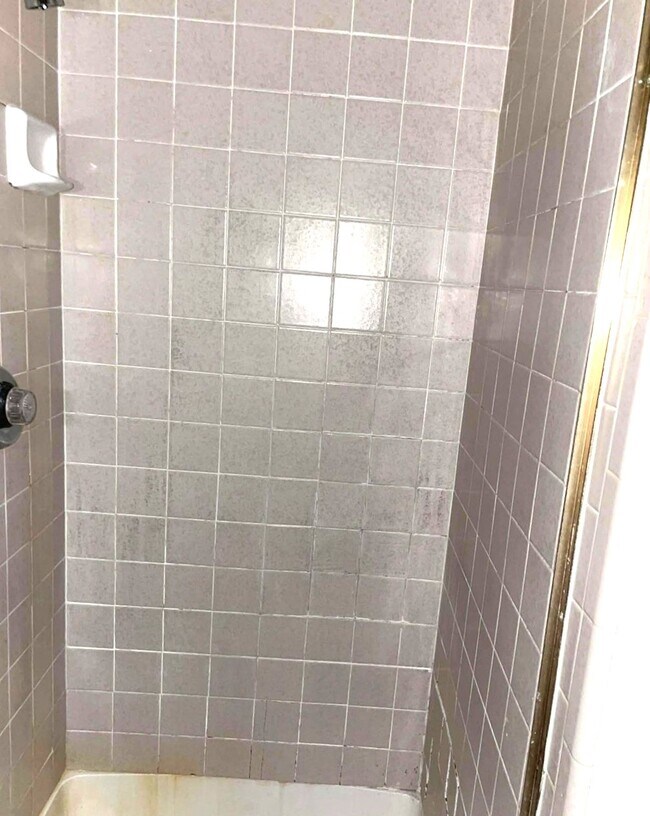 2310 Bamboo Dr unit J303, Arlington, TX 76006 - photo 6