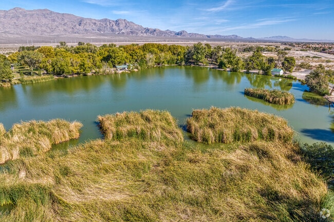 Floyd Lamb Park is full of beautiful scenery.