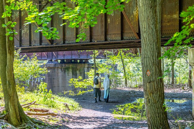 Packer residents hike through wooded mountains at Lehigh Gorge State Park.