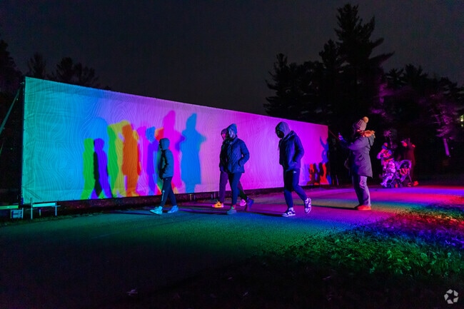 A magical journey through Morton Arboretum, where trees glow with vibrant colors & designs.