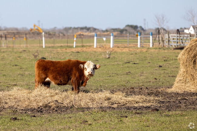 The new suburban neighborhoods of  Iowa Colony are located around the original farmlands.