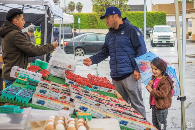 Picking up fresh berries at Downey Farmers Market is always fun.