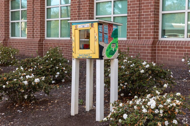Little free libraries can be found througout the Holy Neck neighborhood.