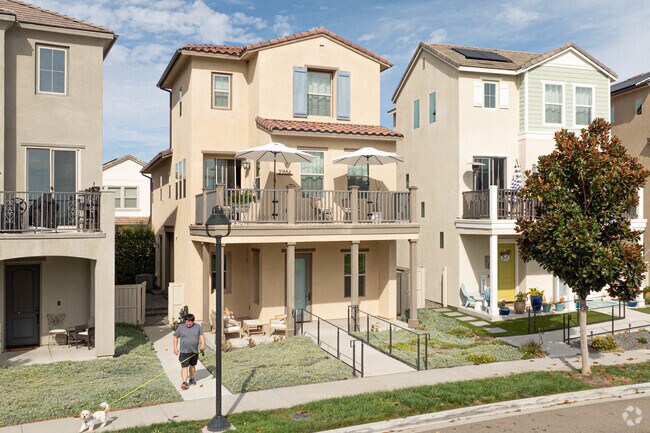 Spanish Revival homes line the quiet streets of Harmony Grove.