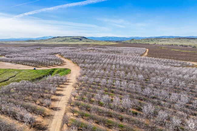 There are many farmlands and orchards surrounding the city of Orland.