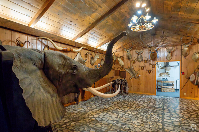 Wharton County Historical features a collection of game trophies.