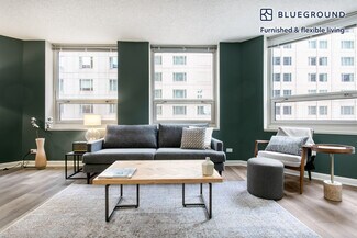 750 N Rush St Unit FL11-ID165, Chicago, IL 60611
