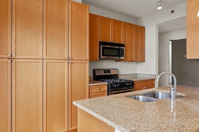 Michigan 1400 unit 1204, Chicago, IL 60605 - photo 6