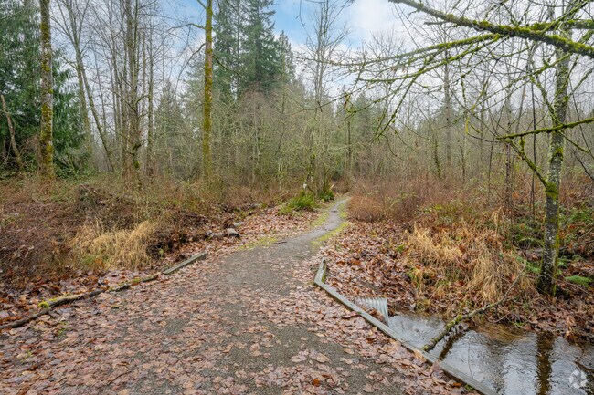 Residents can enjoy casual hiking trails at Coal Field Park in Fairfield Coalfield.