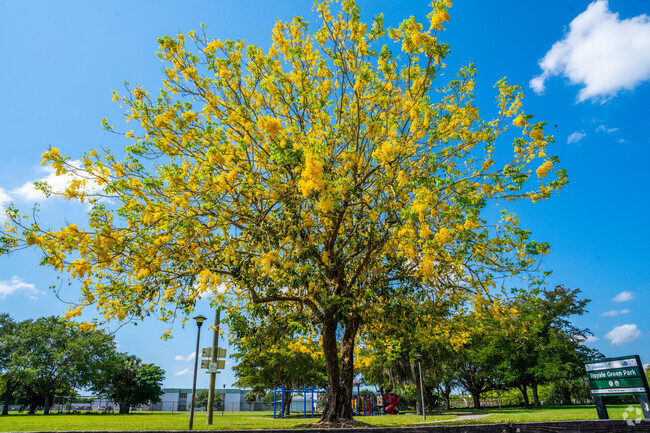 Royale Green Park flora blooms are colorful, providing a vibrant hang out in Kendale Lakes.