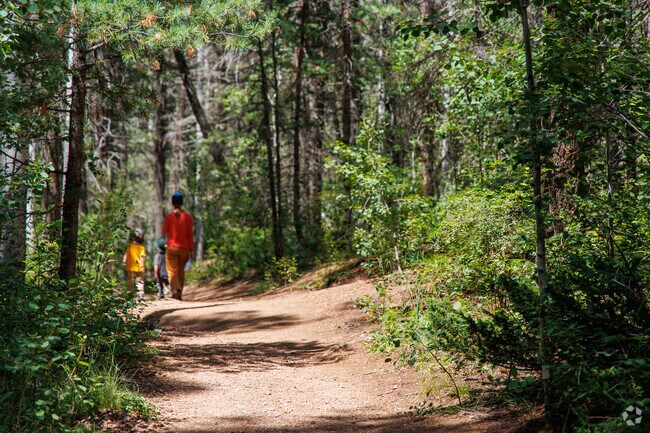 Sierra Del Norte can take great trips with the family in the Santa Fe National Forest.