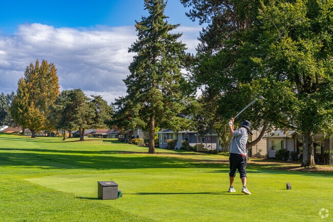 Enjoy a day on the beautiful Summerfield 9-hole public golf course.