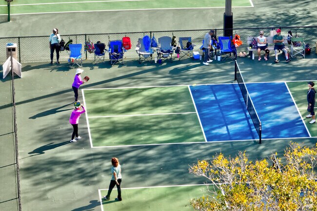 Competitive pickleball games can be seen at Bryant Adams Park.