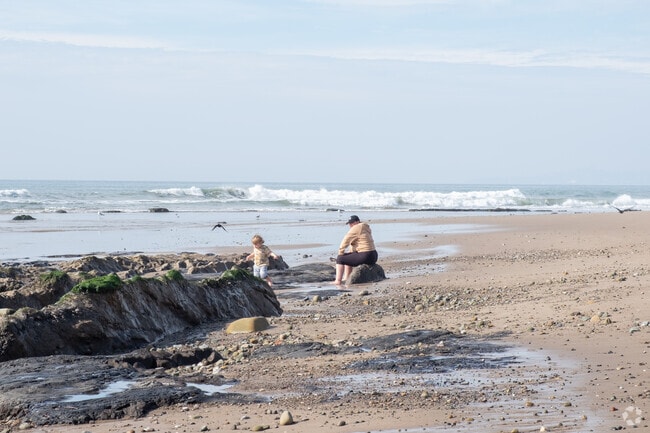 There are many beaches to take the kids to explore in Carpinteria.