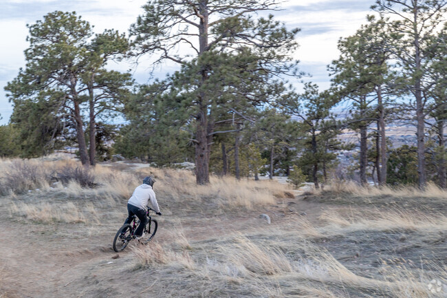 Mountain biking is a common recreation in Zimmerman Park