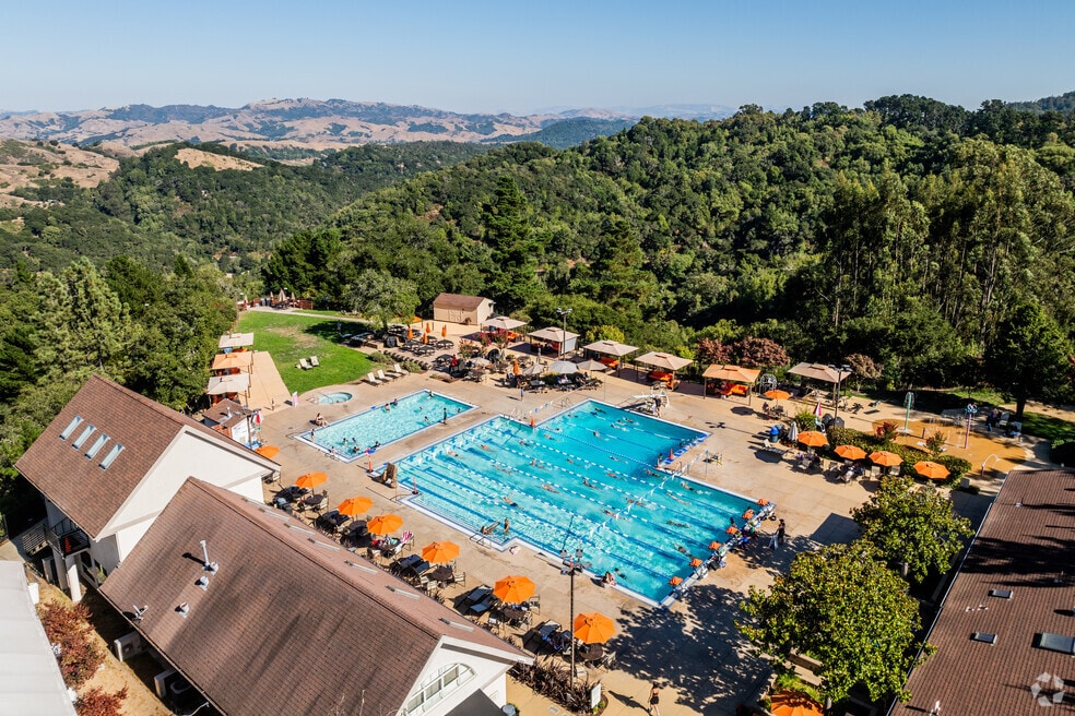 NH_Forestland_545677_100224.mp4