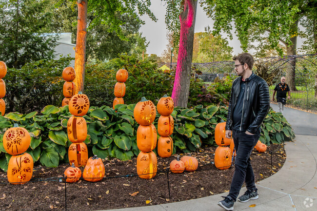 Mount Vernon residents can enjoy the annual Harvest Bloom event, featuring colorful autumn displays at Franklin Park Conservatory.