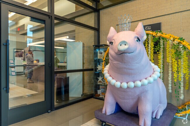 The annual Hogeye Festival is held at Elgin Memorial Park and Rec Center.