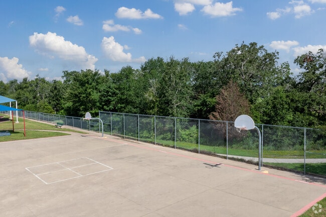 Unleash your inner athlete on the Spring Creek Elementary School basketball court.