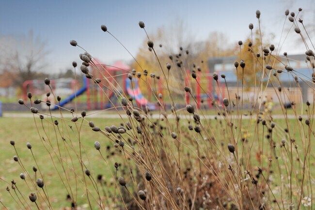 Belmar Hills Park is a nice place to go to appreciate nature.