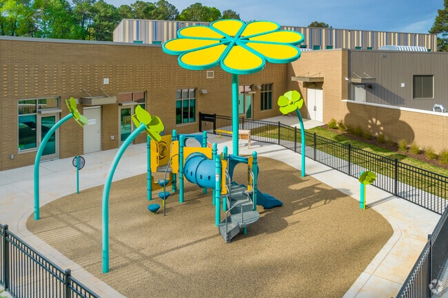 Crabtree Valley York Elementary Play Equipment