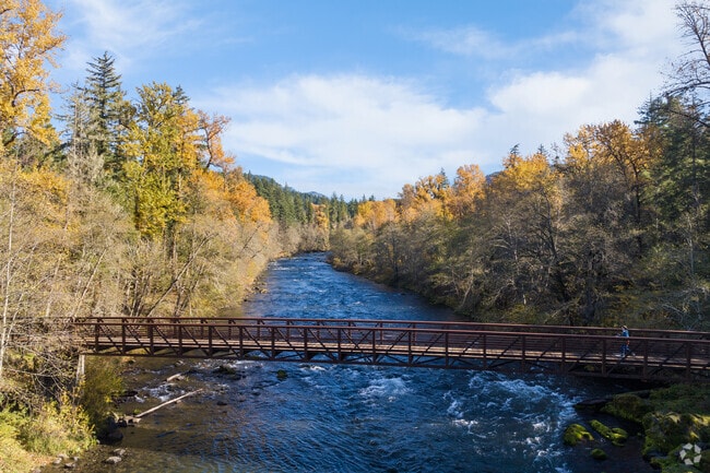 Locals and hiking fans enjoy a trip over the Willamette River.