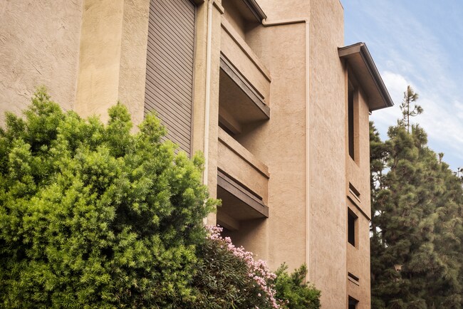 Entrance View of Community