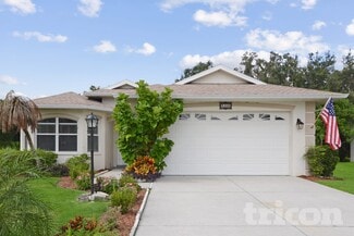 9208 64th Ct E, Parrish, FL 34219