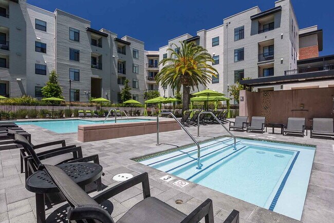 Brio, Walnut Creek, CA 94596 - photo 3