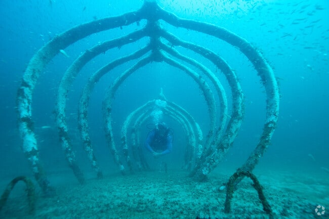 Divers enjoy the underwater museum of arts.