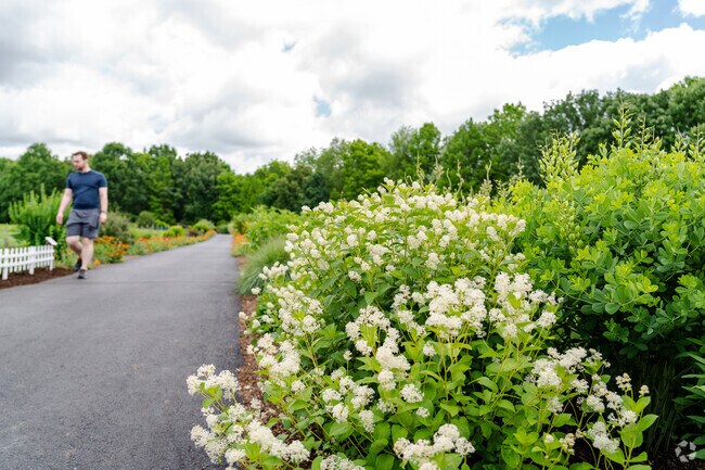 The pollinator garden at Perrin Family Park is keeping bee and butterfly populations alive.