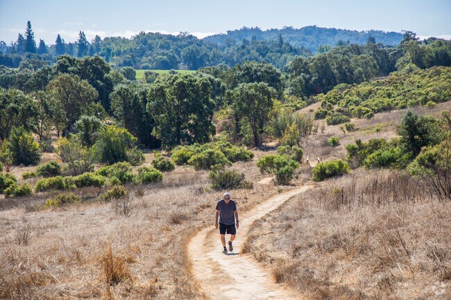 Vineyard Estates' Alston Park is full of incredibly beautiful hiking trails.