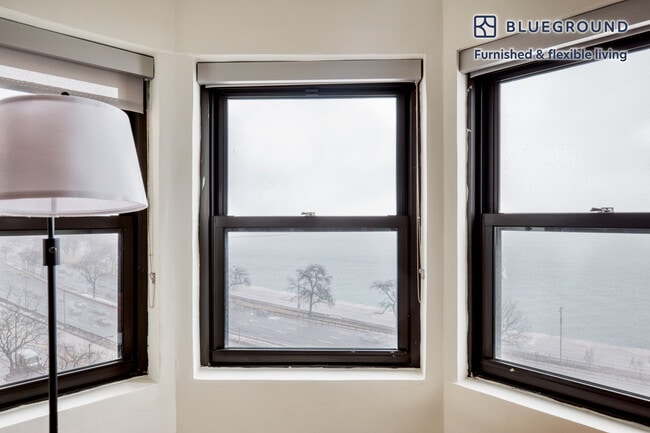 1400 N Lake Shore Dr unit FL8-ID914, Chicago, IL 60610 - photo 6