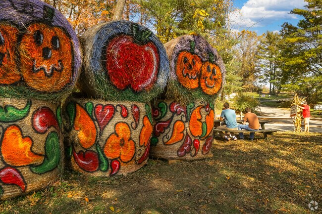 Reign in the autumn season amongst Boyds' tall trees and lush greenery.