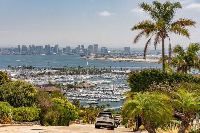 Downtown San Diego is the backdrop for residents on the east side of Wooded Area.