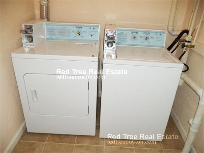 207 Hillside St unit 3, Roxbury Crossing, MA 02120 - photo 4