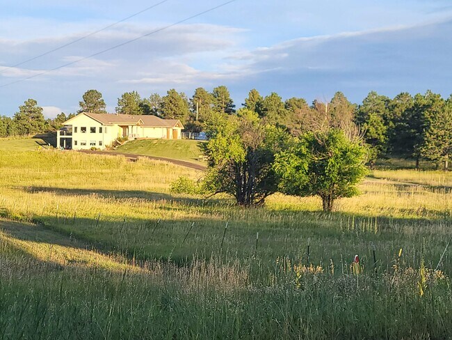 20215 Indi Dr unit Veatch, Monument, CO 80132 - photo 7