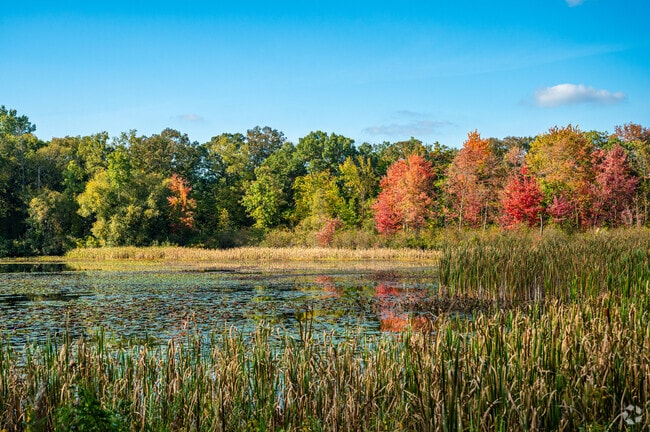 Fall colors in Lost Lake Nature Park show the beauty of Oakland.