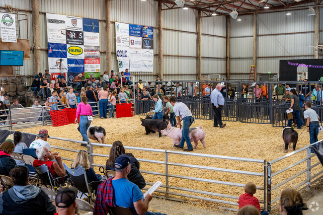 Colburn residents can show their hogs at the 4H Fair in nearby Logansport.
