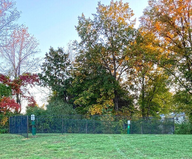 Renaissance Hills, Mount Vernon, IL 62864 - photo 7