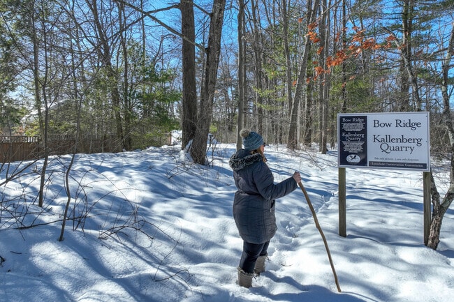 Bow Ridge Reservation  invites explorers to discover hidden vistas and the serene beauty in Lynnfield.