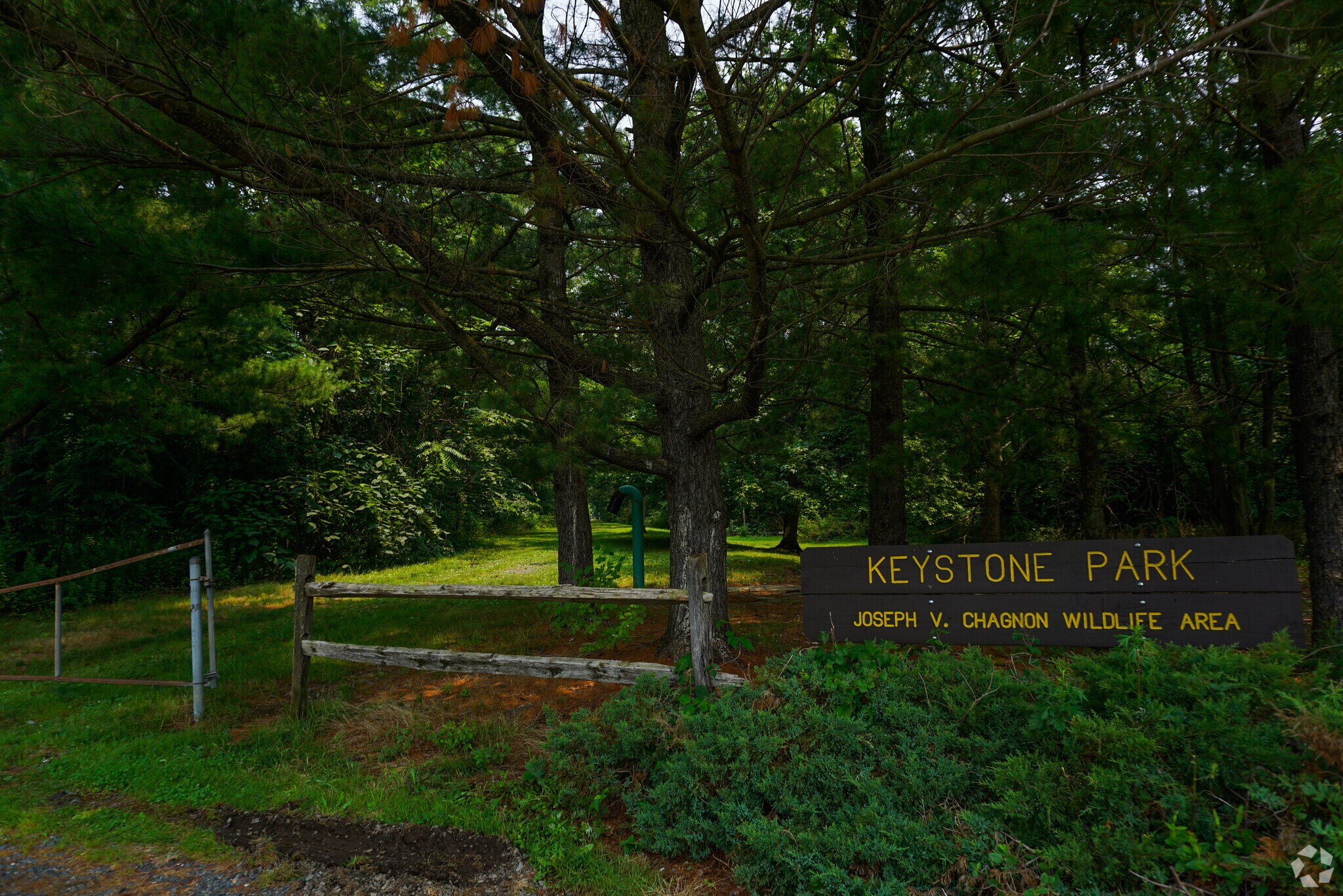 About East Brunswick Schools, Demographics, Things to Do