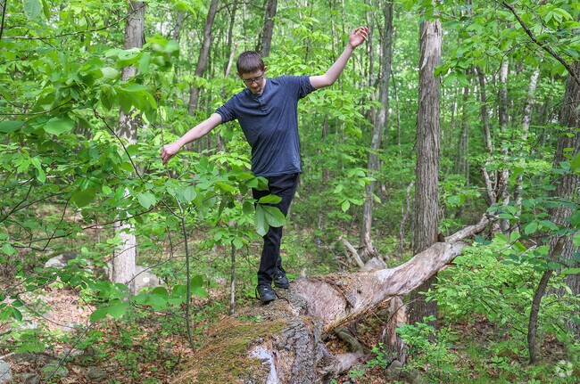 Get in touch with nature when exploring  Forest River Conservation Area in the Vinnin Square neighborhood.