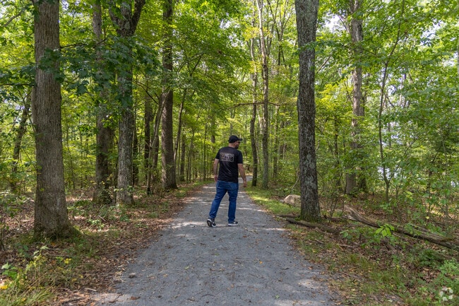 Nescopeck State Park offers hiking trails in Dennison.