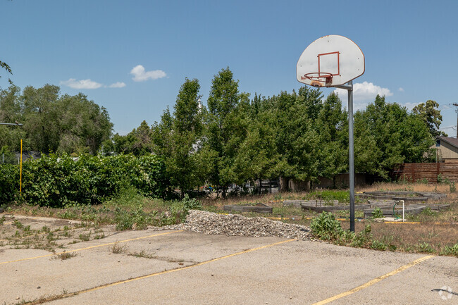 Leafy trees on one side of the basketball court at Mount Vernon Academy.