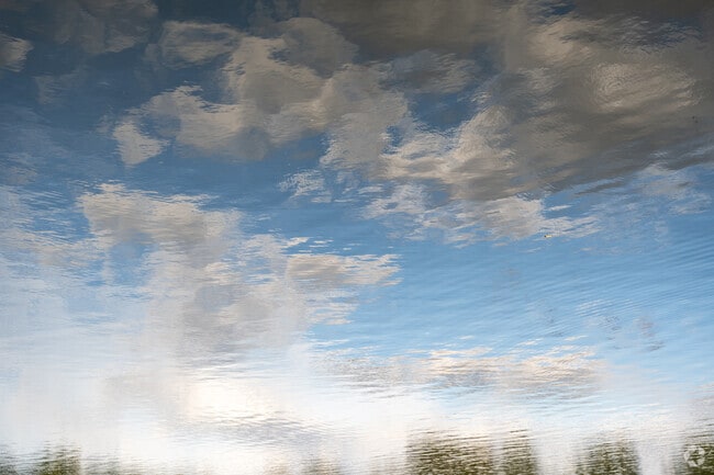 Johnson Pond makes for a creative and beautiful neighborhood.