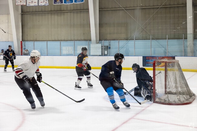 Hockey leagues are open to new members at the Franklin Park Ice Rink.