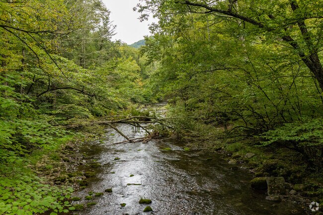 Sundown Wild Forest located in the southeast corner of the Catskills mountains.