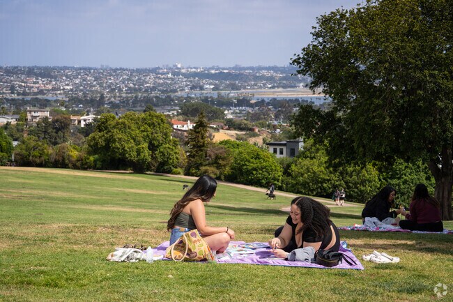 The hillside in Kate Sessions Park is a popular spot to picnic in Soledad South.