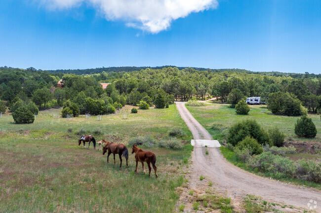 Horses and livestock are common throughout the rural Village of Tijeras.
